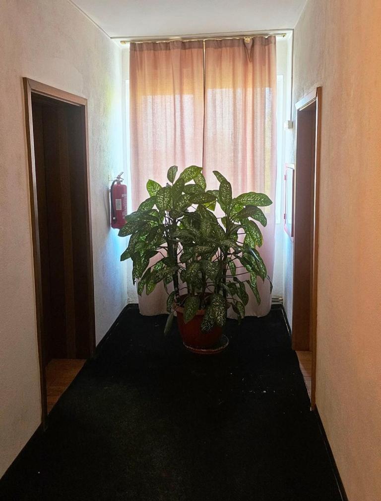 克拉奥华 Casablanca旅舍 外观 照片